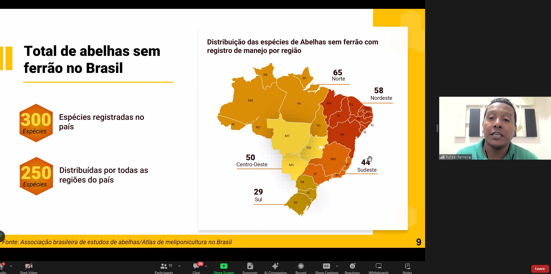 29-08 Rafael Ferreira_abelhas no Brasil