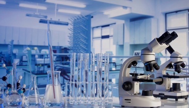 WhatsApp Image 2025-12-29 at 16.42.53