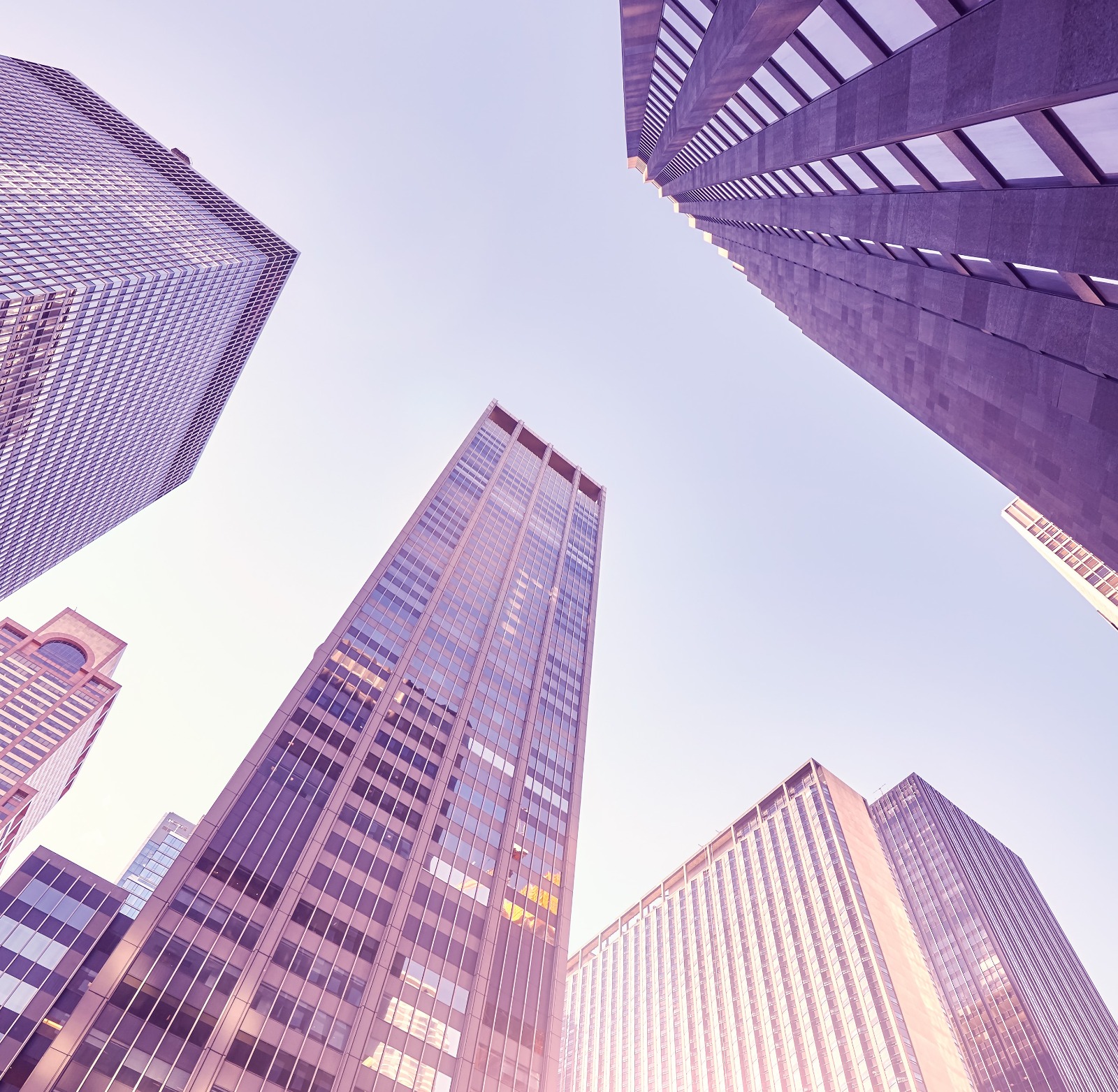 WhatsApp Image 2026-02-23 at 09.49.45