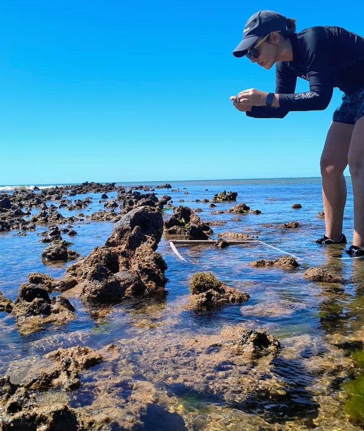 WhatsApp Image 2026-03-26 at 10.38.04-1