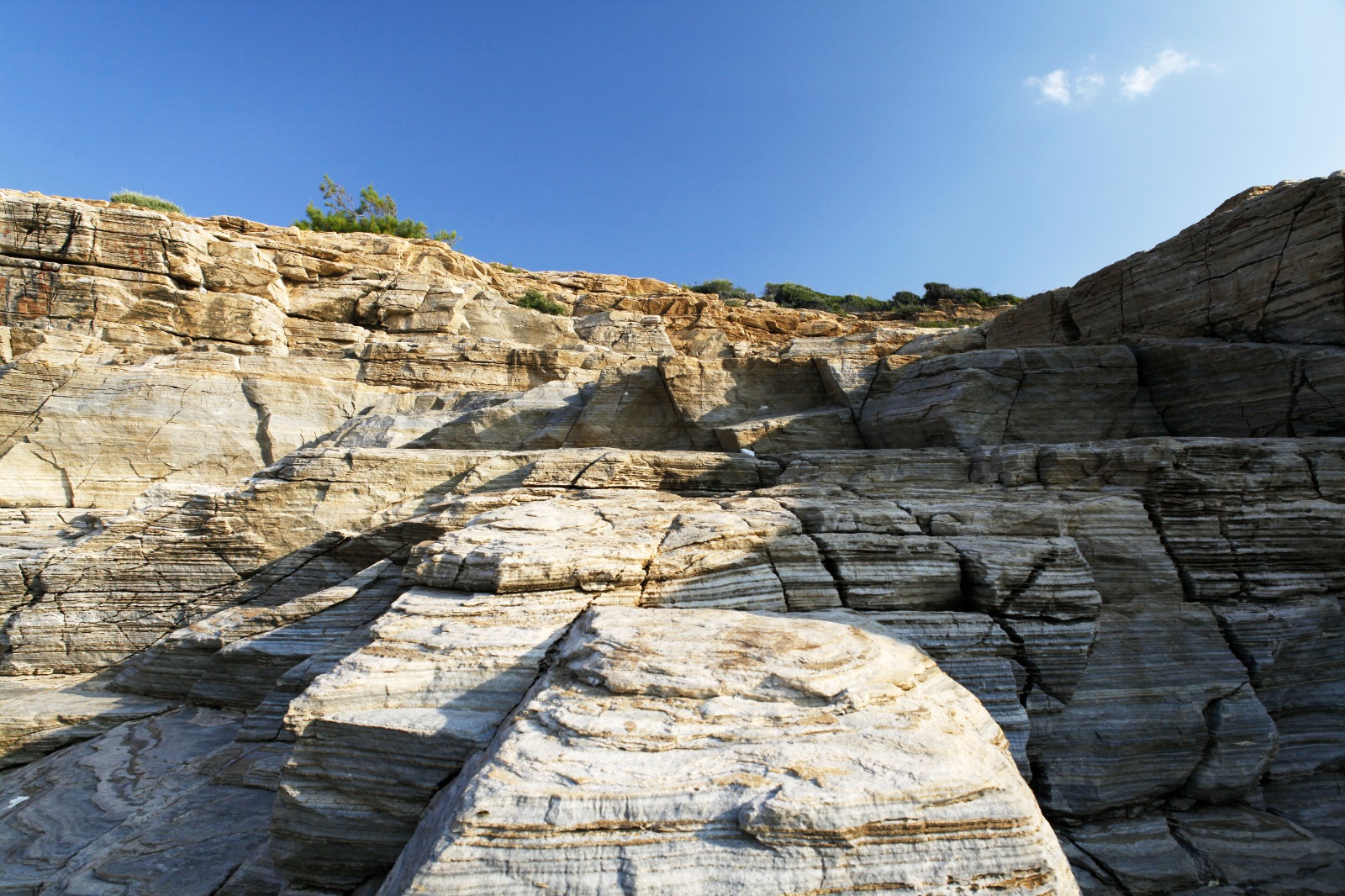 WhatsApp Image 2026-04-02 at 10.17.11 (1)