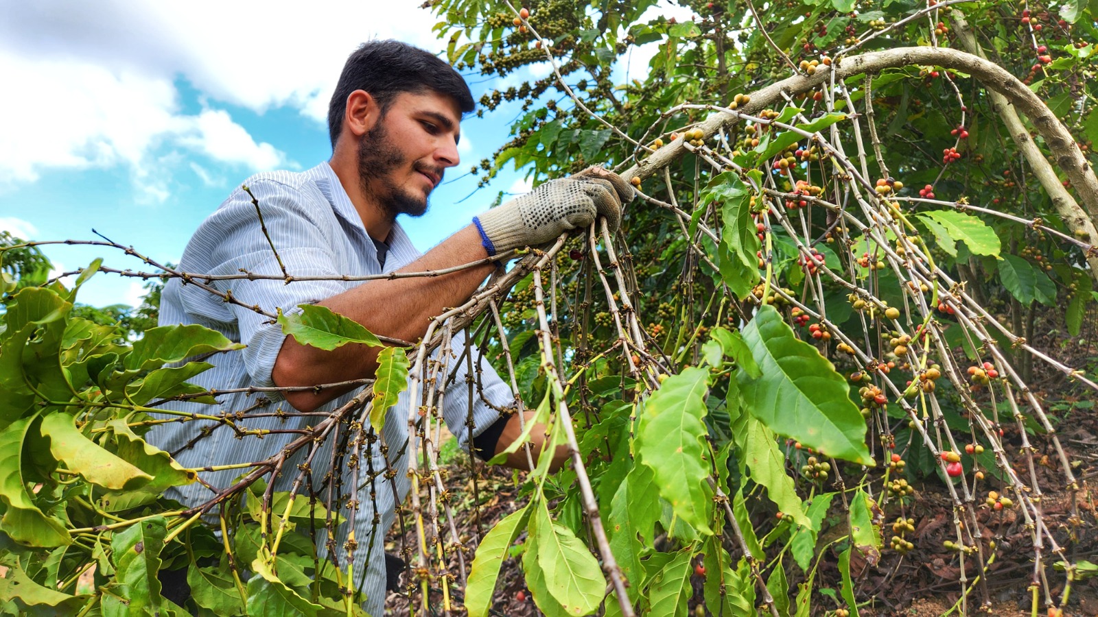 WhatsApp Image 2026-04-07 at 13.51.40