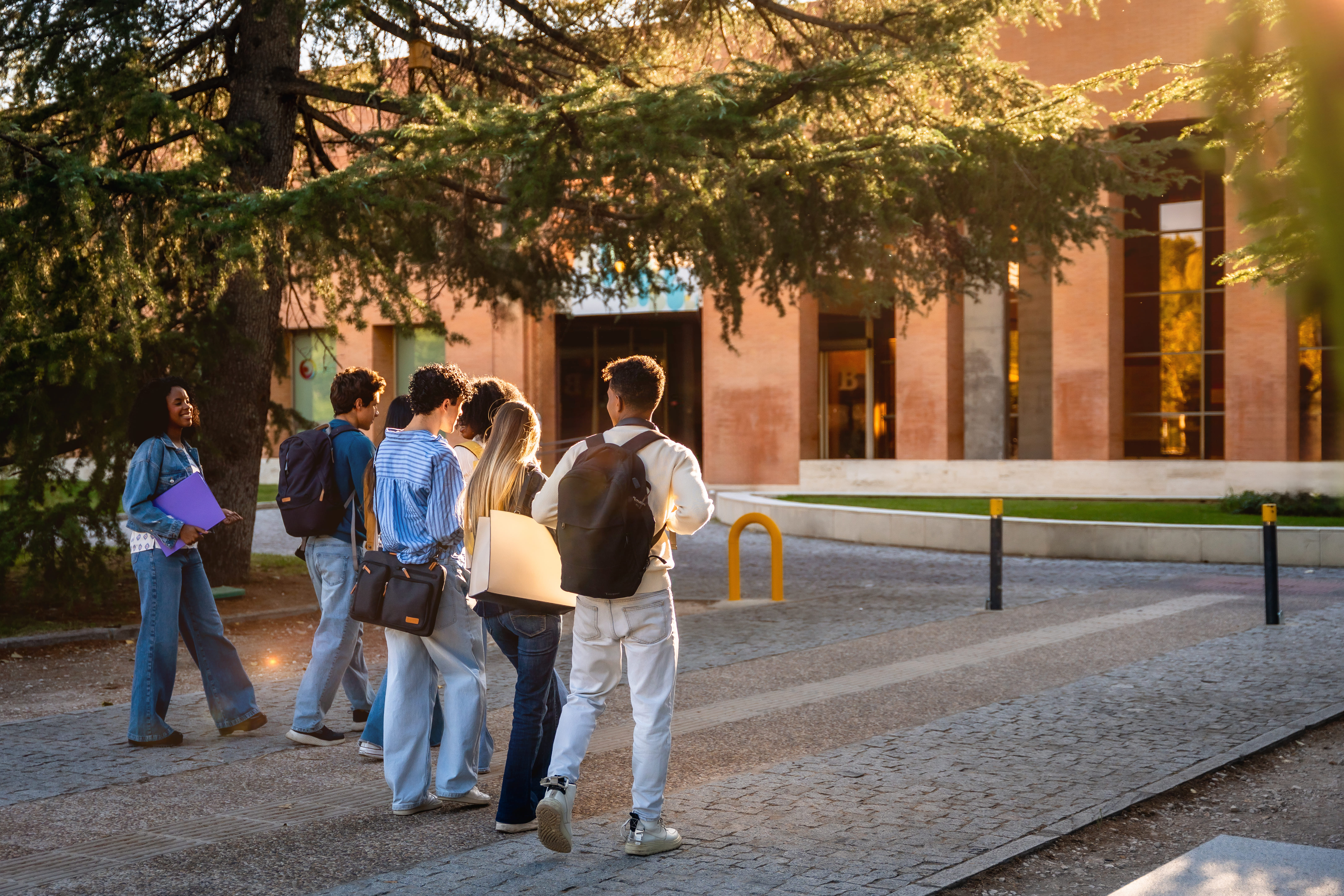 diverse-students-walking-towards-university-buildi-2026-03-25-10-03-43-utc (2)