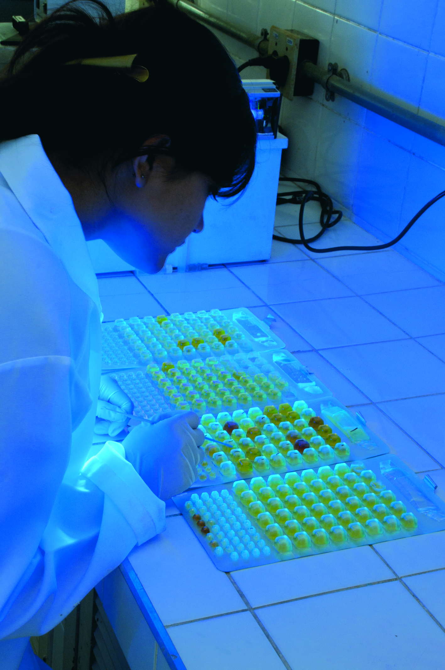 Laboratório de pesquisa na Ufes