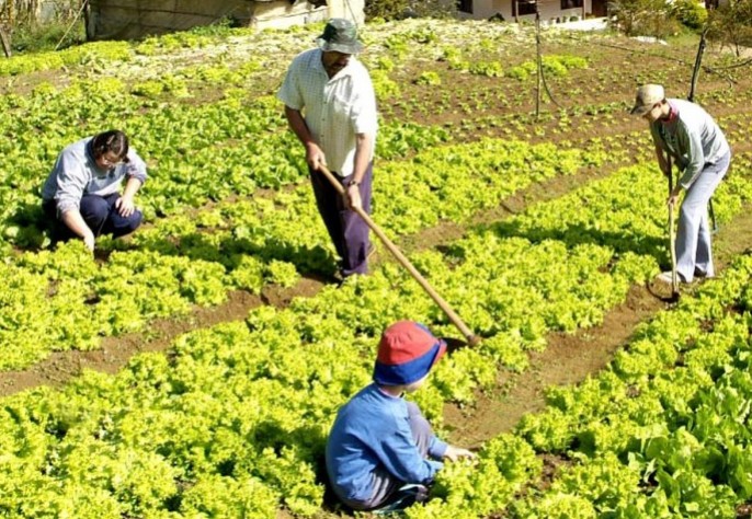 Foto agricultura-familiar - PPE Agro