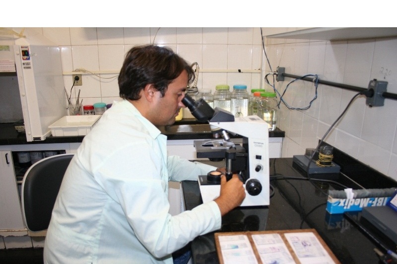 SESA_SVO_laboratorio