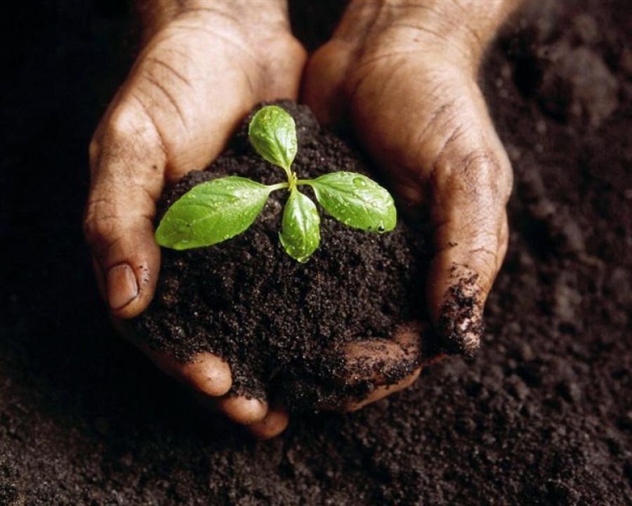 agroecologia