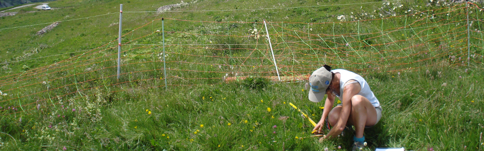 chamada-confap-biodiversa-biodiversidade