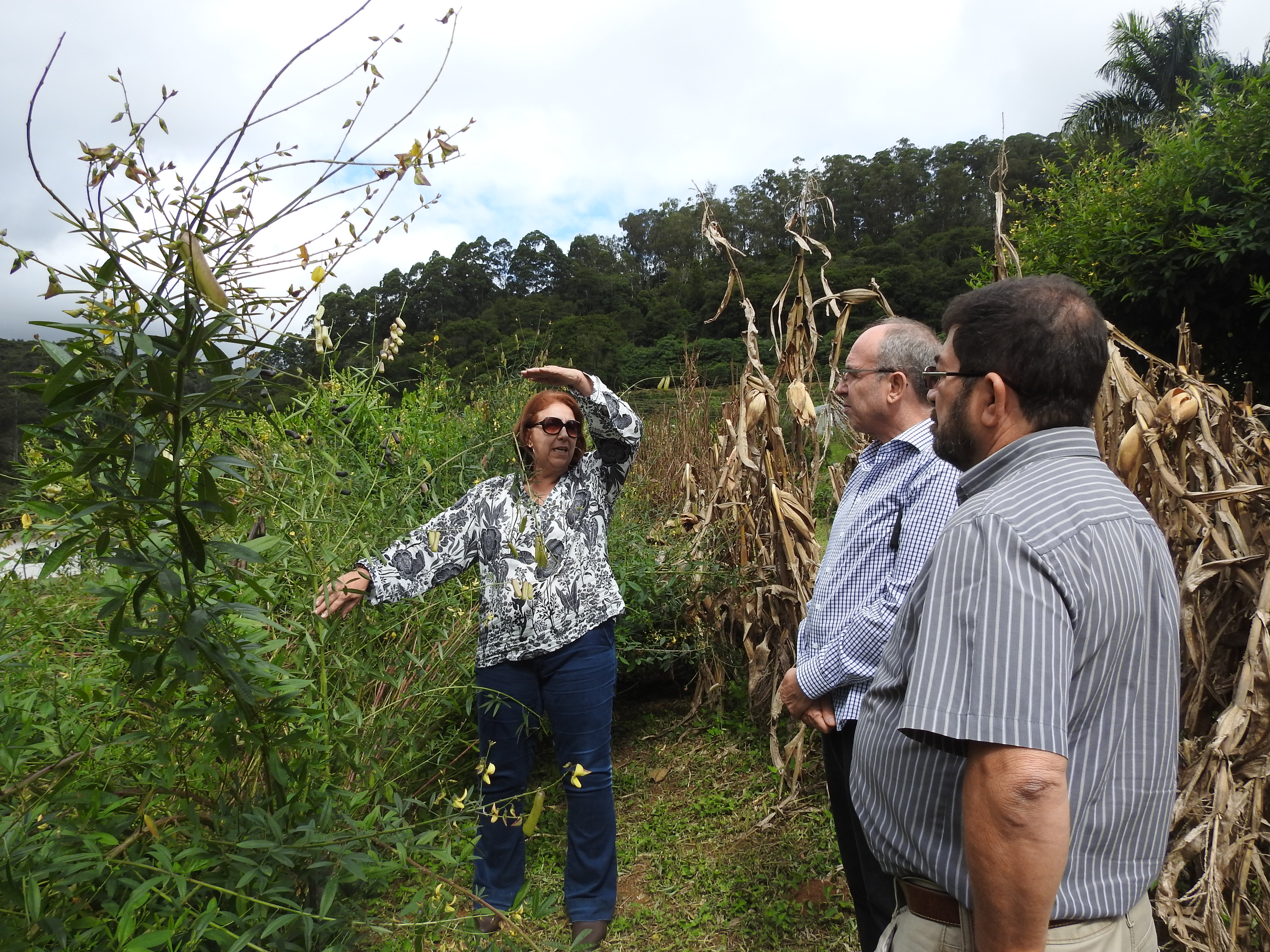 seminario-ppeagro-agroecologia-2019-07-visita-tecnica