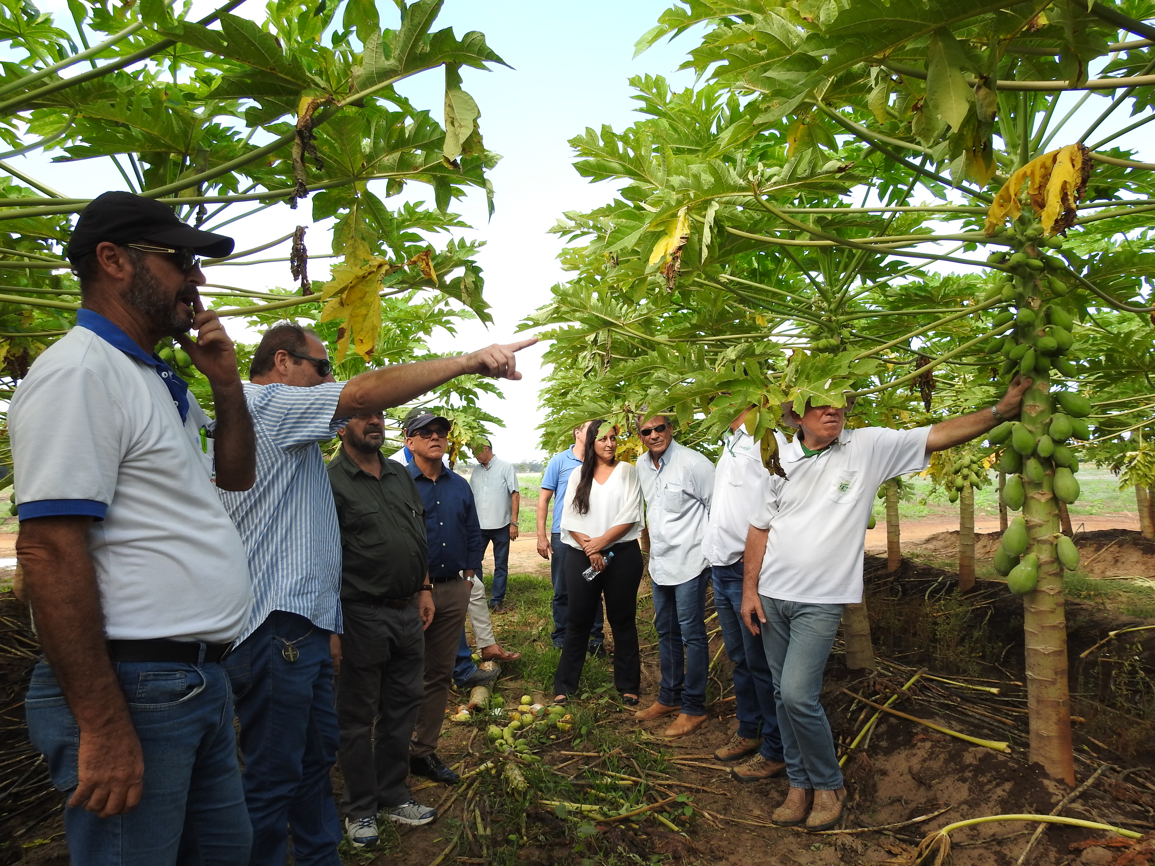 2º Seminário Parcial de Avaliação e Acompanhamento de Projetos - PPE-Agro Fruticultura
