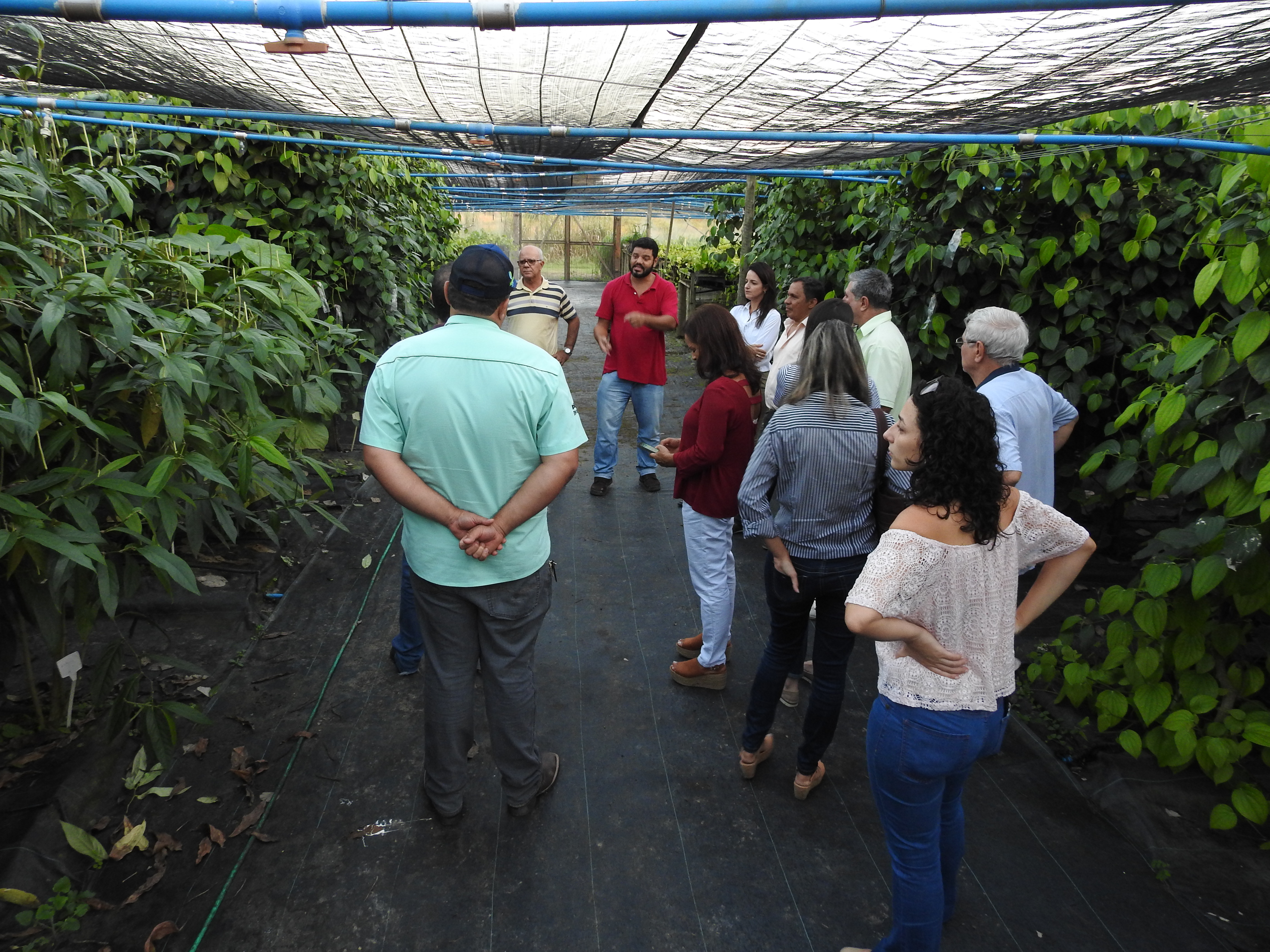 seminario-ppeagro-pipericultura-linhares-2019-21