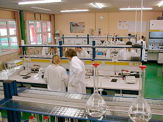 lab